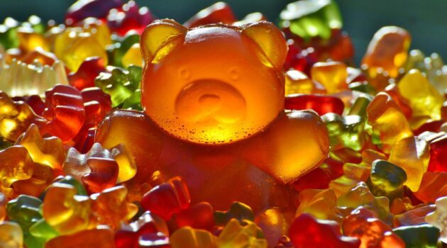 Can Dogs Eat Gummy Bears
