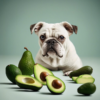 Avocado for Dogs: Benefits and Risks